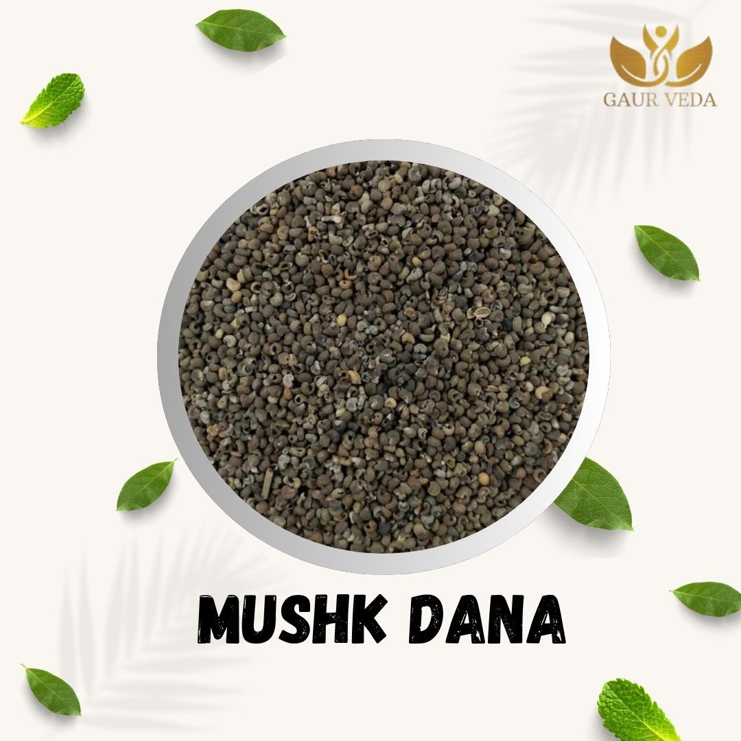 GAURVEDA Mush Kdana | Traditional Indian Snack | Healthy & Nutritious Food | Wholesome Energy Boost | Authentic Taste of India | ??? ??? | 100 Grams