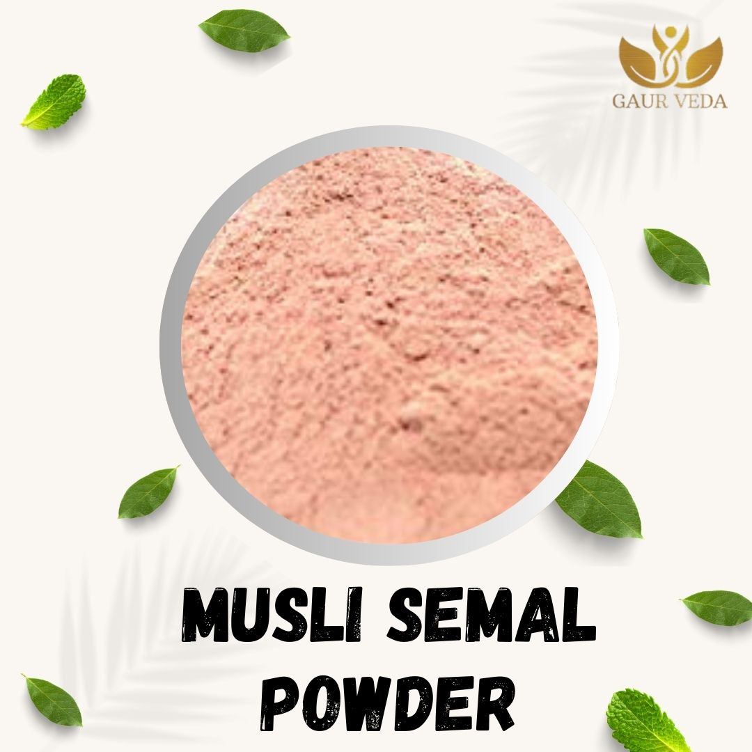 GAURVEDA Musli simbal Powder 100% Natural & Pure | Traditional Ayurvedic Herb/Seed/Powder | Supports Wellness & Daily Health | Ideal for Herbal Remedies, 250 Grams