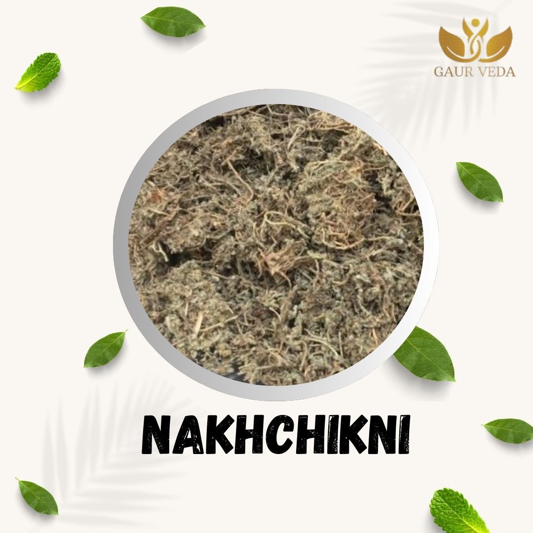 GAURVEDA Nakchikni 100% Natural & Pure | Traditional Ayurvedic Herb/Seed/Powder | Supports Wellness & Daily Health | Ideal for Herbal Remedies, 100 Grams