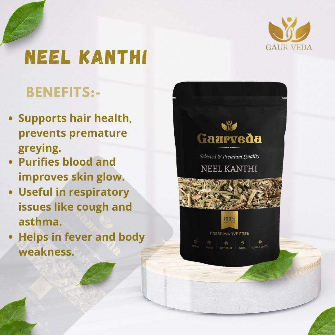 GAURVEDA Neel kanthi 100% Natural & Pure | Traditional Ayurvedic Herb/Seed/Powder | Supports Wellness & Daily Health | Ideal for Herbal Remedies, 100 Grams