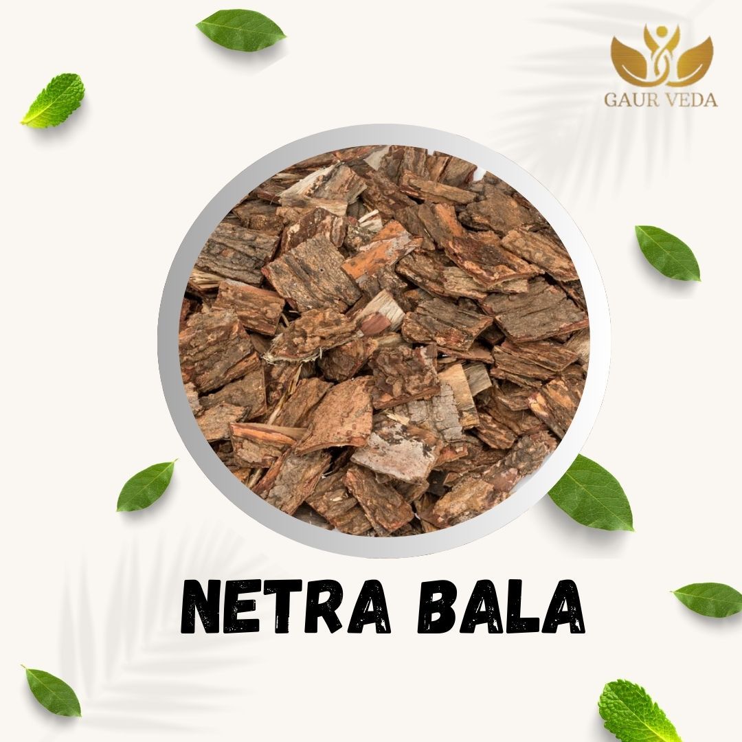 GAURVEDA Neem chaal 100% Natural & Pure | Traditional Ayurvedic Herb/Seed/Powder | Supports Wellness & Daily Health | Ideal for Herbal Remedies, 100 Grams