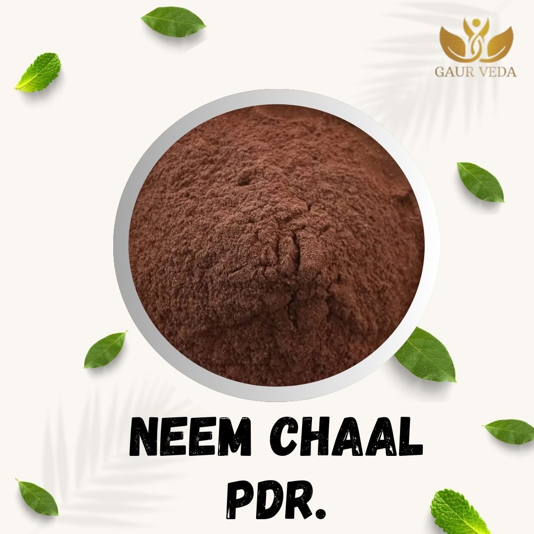 GAURVEDA Neem chaal Powder 100% Natural & Pure | Traditional Ayurvedic Herb/Seed/Powder | Supports Wellness & Daily Health | Ideal for Herbal Remedies, 100 Grams