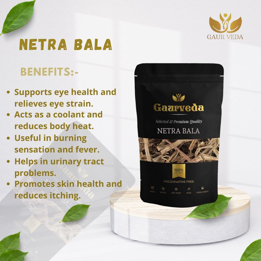 GAURVEDA Netrabala 100% Natural & Pure | Traditional Ayurvedic Herb/Seed/Powder | Supports Wellness & Daily Health | Ideal for Herbal Remedies, 100 Grams