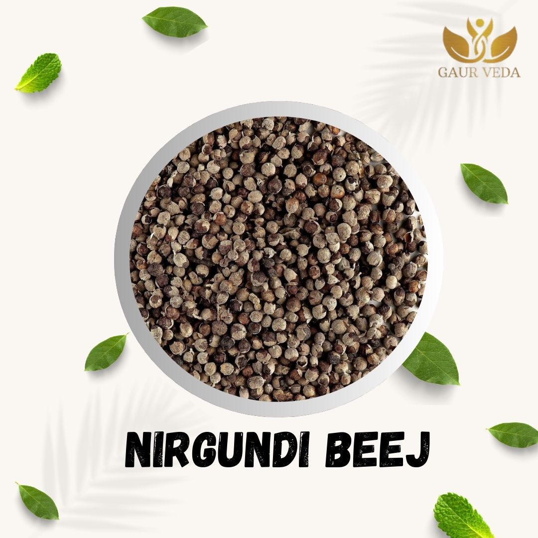 GAURVEDA Nirgundi Beej - Pure & Natural Seeds for Ayurvedic Wellness | Supports Joint Health, Immunity & Overall Vitality, Traditional Herb | 100 Grams