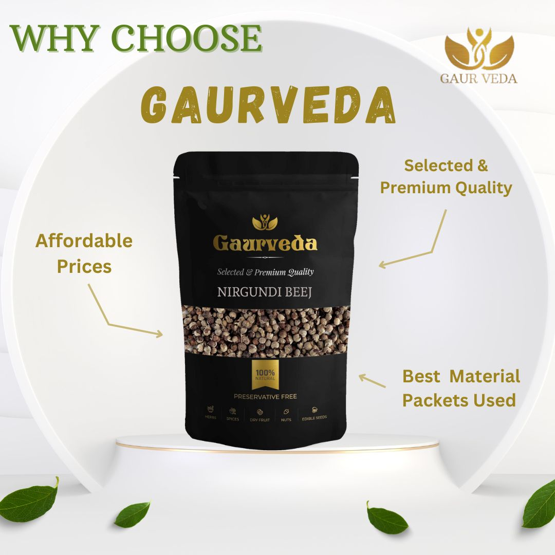 GAURVEDA Nirgundi Beej - Pure & Natural Seeds for Ayurvedic Wellness | Supports Joint Health, Immunity & Overall Vitality, Traditional Herb | 100 Grams