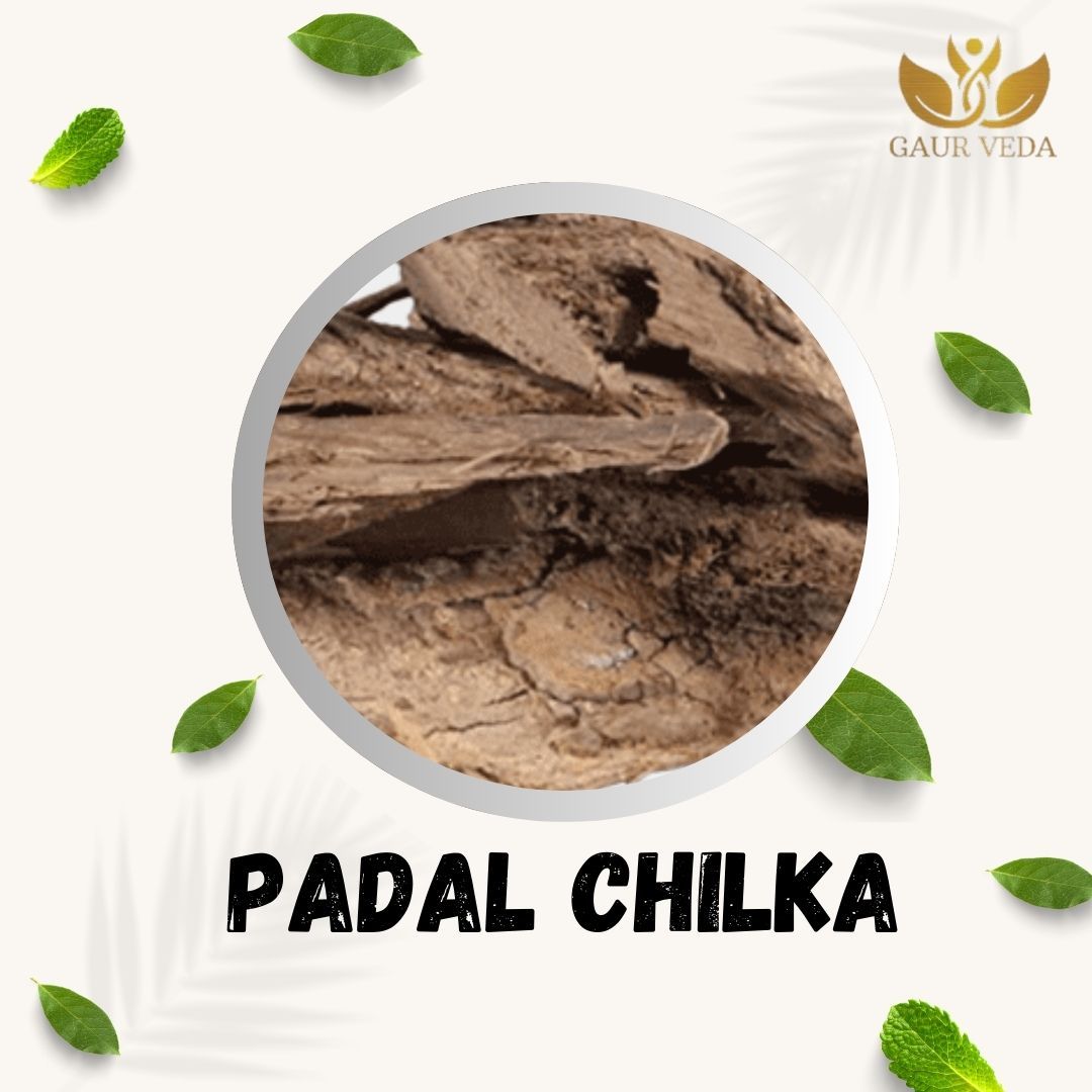 GAURVEDA Padal chilka 100% Natural & Pure | Traditional Ayurvedic Herb/Seed/Powder | Supports Wellness & Daily Health | Ideal for Herbal Remedies, 100 Grams