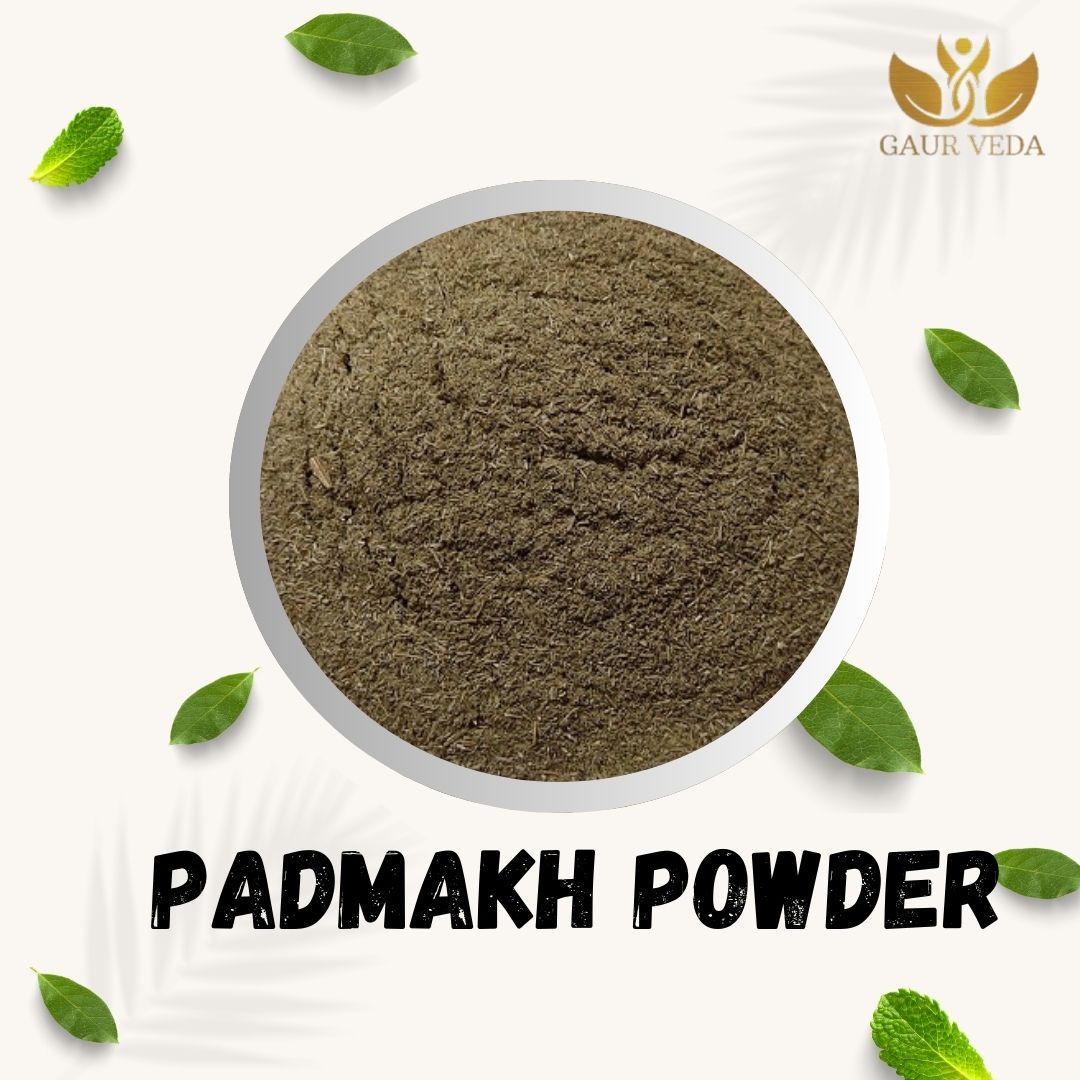 GAURVEDA Padmakh Powder 100% Natural & Pure | Traditional Ayurvedic Herb/Seed/Powder | Supports Wellness & Daily Health | Ideal for Herbal Remedies, 100 Grams