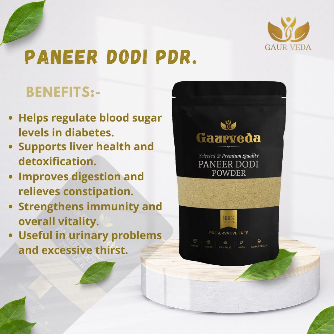 GAURVEDA Paneer DODI Powder 100% Natural & Pure | Traditional Ayurvedic Herb/Seed/Powder | Supports Wellness & Daily Health | Ideal for Herbal Remedies, 100 Grams