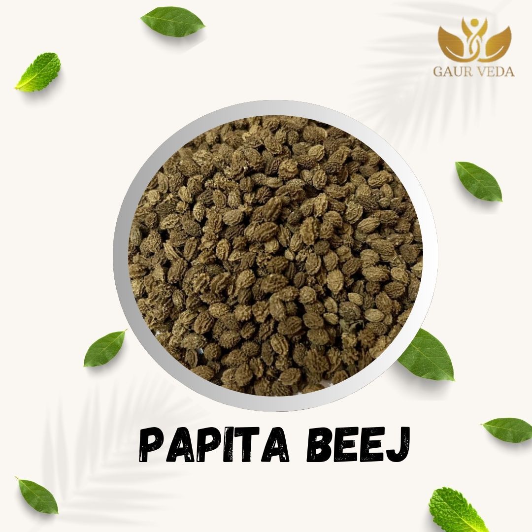GAURVEDA Papita Beej (Papaya Seeds) - Natural Sun-Dried Seeds for Health & Wellness | Rich in Nutrients & Enzymes | Supports Digestion Naturally | 100 Grams