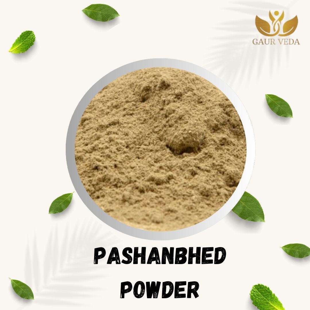 GAURVEDA Pashenbhed Powder 100% Natural & Pure | Traditional Ayurvedic Herb/Seed/Powder | Supports Wellness & Daily Health | Ideal for Herbal Remedies, 100 Grams{164