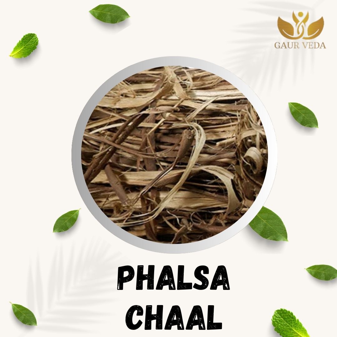 GAURVEDA Phalsa chaal 100% Natural & Pure | Traditional Ayurvedic Herb/Seed/Powder | Supports Wellness & Daily Health | Ideal for Herbal Remedies, 100 Grams