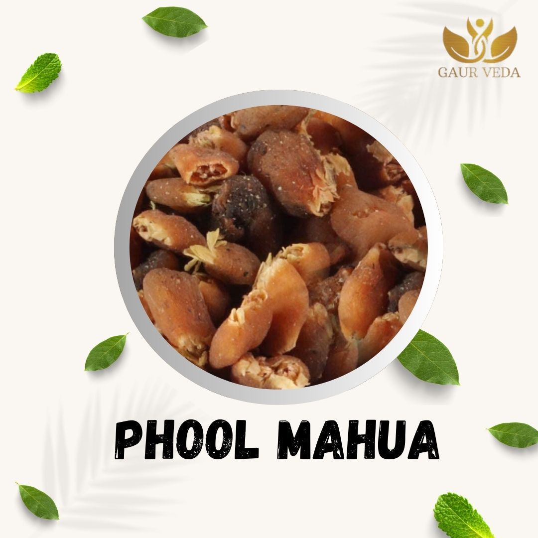 GAURVEDA Phool mahua 100% Natural & Pure | Traditional Ayurvedic Herb/Seed/Powder | Supports Wellness & Daily Health | Ideal for Herbal Remedies, 1000 Grams