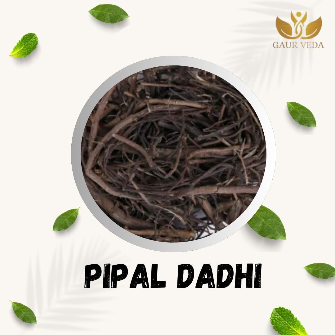 GAURVEDA Pipal dadhi 100% Natural & Pure | Traditional Ayurvedic Herb/Seed/Powder | Supports Wellness & Daily Health | Ideal for Herbal Remedies, 100 Grams{172
