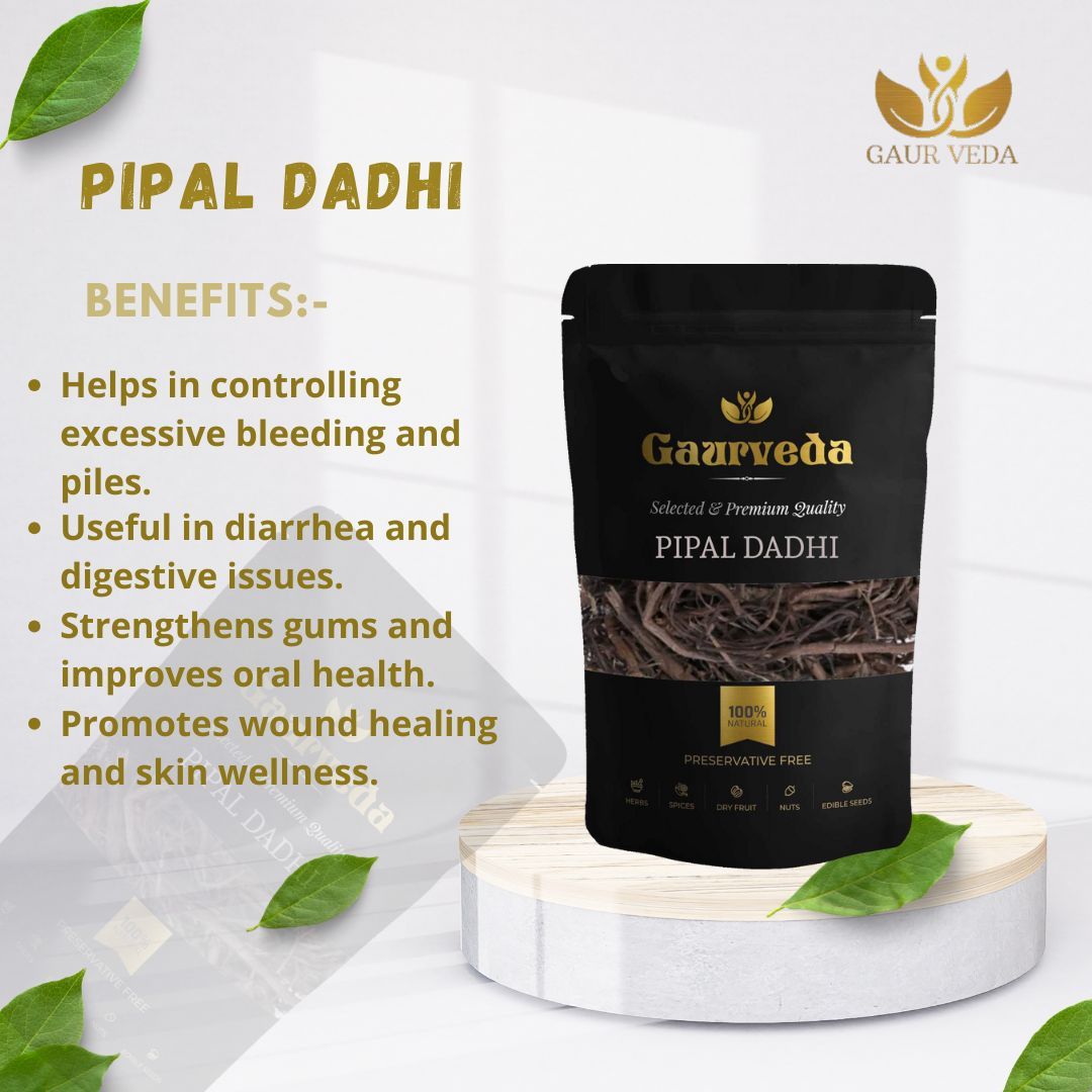 GAURVEDA Pipal dadhi 100% Natural & Pure | Traditional Ayurvedic Herb/Seed/Powder | Supports Wellness & Daily Health | Ideal for Herbal Remedies, 100 Grams{172
