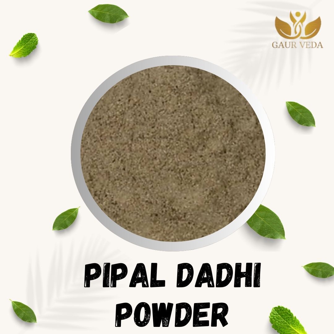 GAURVEDA Pipal phal Powder 100% Natural & Pure | Traditional Ayurvedic Herb/Seed/Powder | Supports Wellness & Daily Health | Ideal for Herbal Remedies, 100 Grams