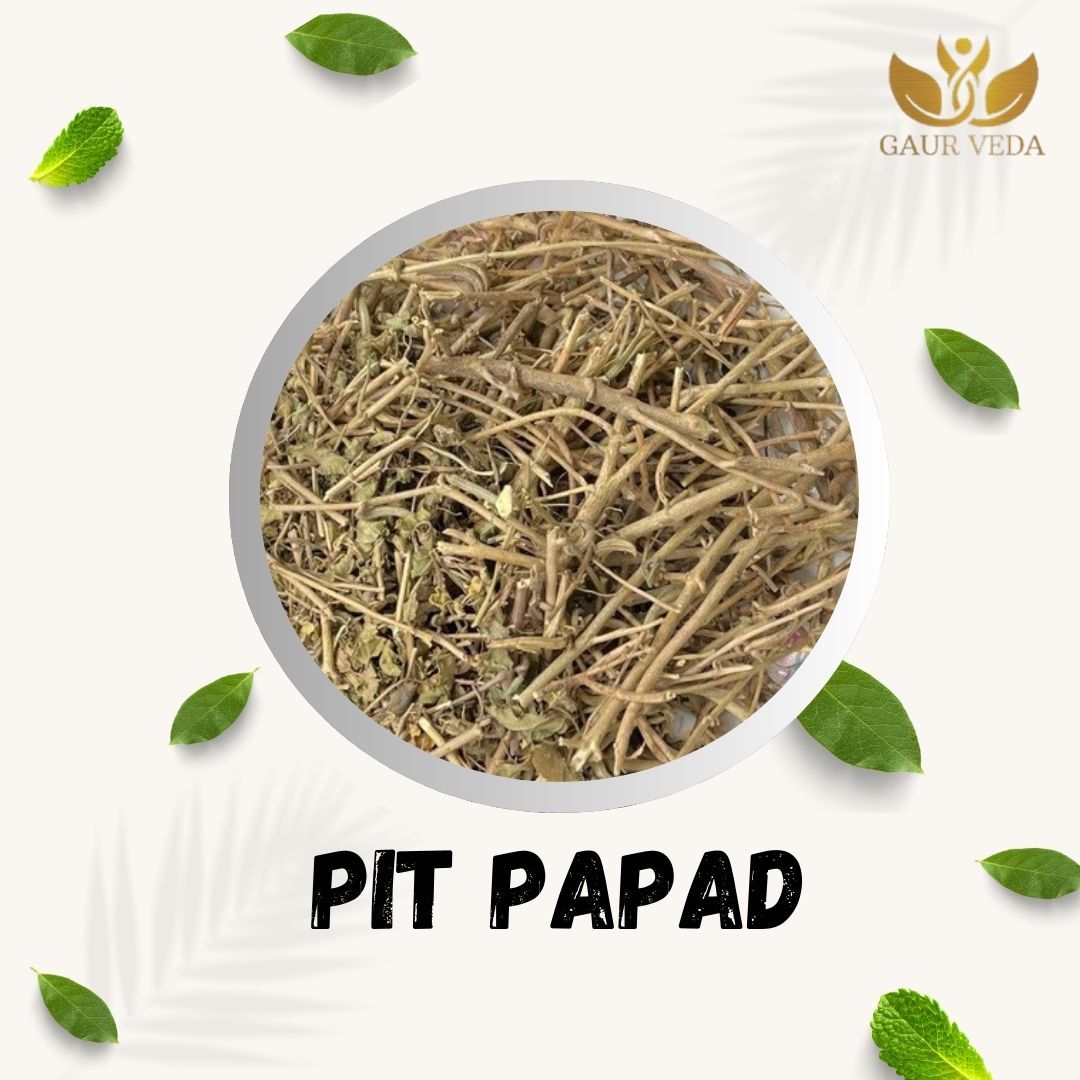 GAURVEDA Pit papad 100% Natural & Pure | Traditional Ayurvedic Herb/Seed/Powder | Supports Wellness & Daily Health | Ideal for Herbal Remedies, 100 Grams