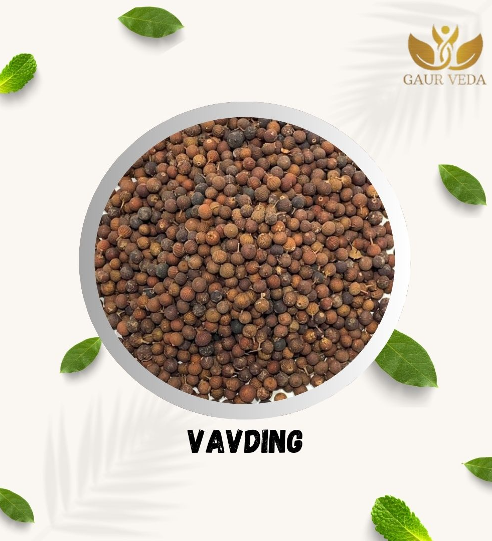 GAURVEDA Baividang - Vavding - Vaividang - Baibidang - Vidanga - Baibadang - Embelia Ribes, Natural (50 Grams)