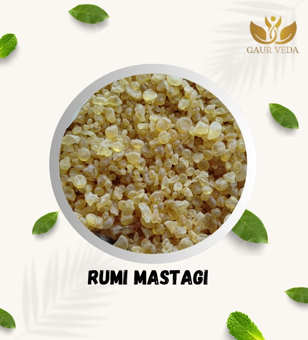 GAURVEDA Rumi Mastagi Raw, Pistacia Lenticus Mastic Gum (50 Grams)