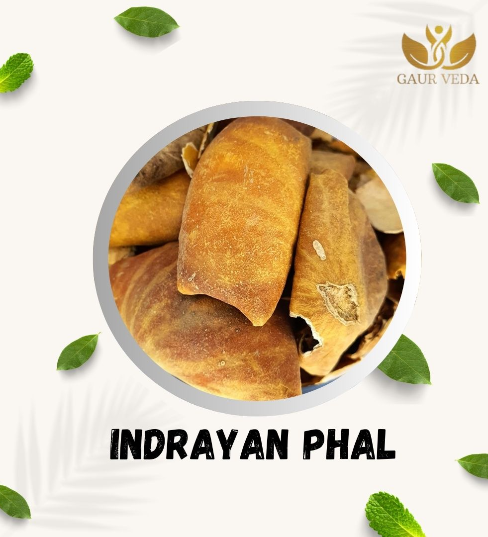 Gaurveda Indrayan Phal - Kodtumbe - Kodtumba - Tumba - Citrullus colocythis - Colocynth - Natural (100 Grams)