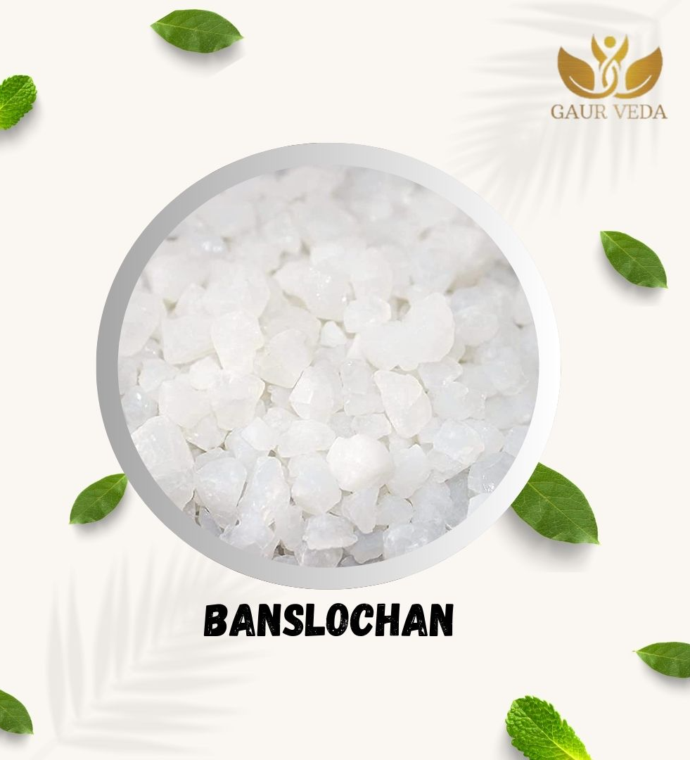 GAURVEDA Banslochan - Vanslochan - Tabashir - Silicic Acid - Pure & Natural (100 Grams)