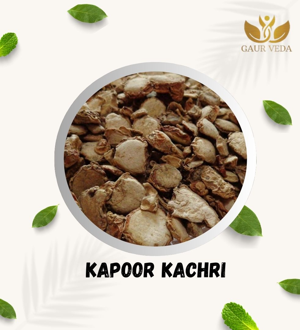 Gaurveda Kapoor Kachri Original - Kapur Kachri - Ekangi - Hedychium Spicatum - Spiked Ginger Lily - Natural (100 Grams)