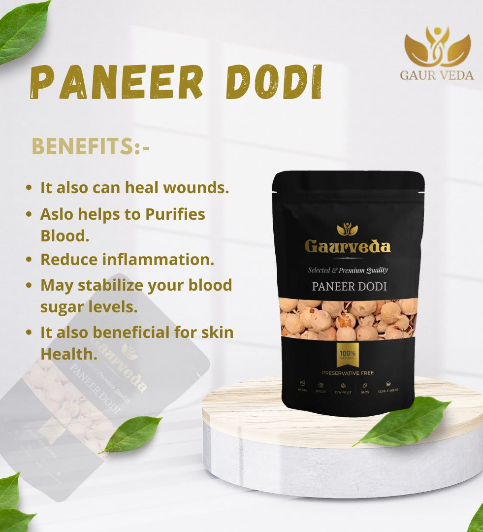 GAURVEDA Paneer Dodi - Natural Diabetes Support - Paneer Phool - Withania Coagulans - Paneer Doda - Selected & Natural (100 Grams)