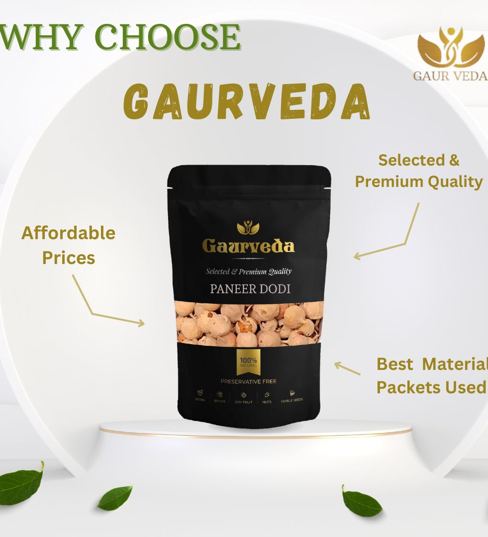 GAURVEDA Paneer Dodi - Natural Diabetes Support - Paneer Phool - Withania Coagulans - Paneer Doda - Selected & Natural (100 Grams)