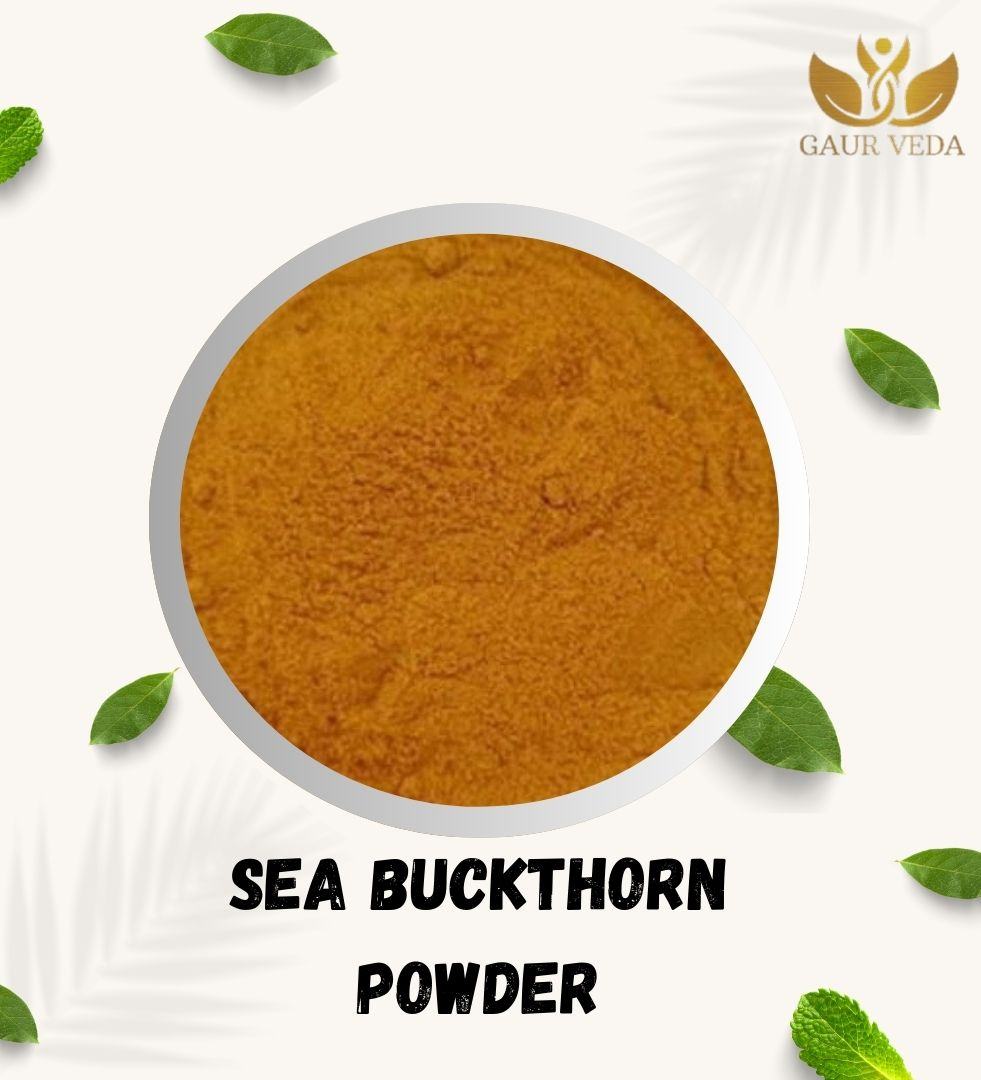 Gaurveda Himalayan Sea Buckthorn Berries Powder, 100g | Rich in Omega 3, 6, 7, 9 | Collagen, Fiber, Omegas, Vitamin C, Vitamin E | Dry Sea Buckthorn Powder