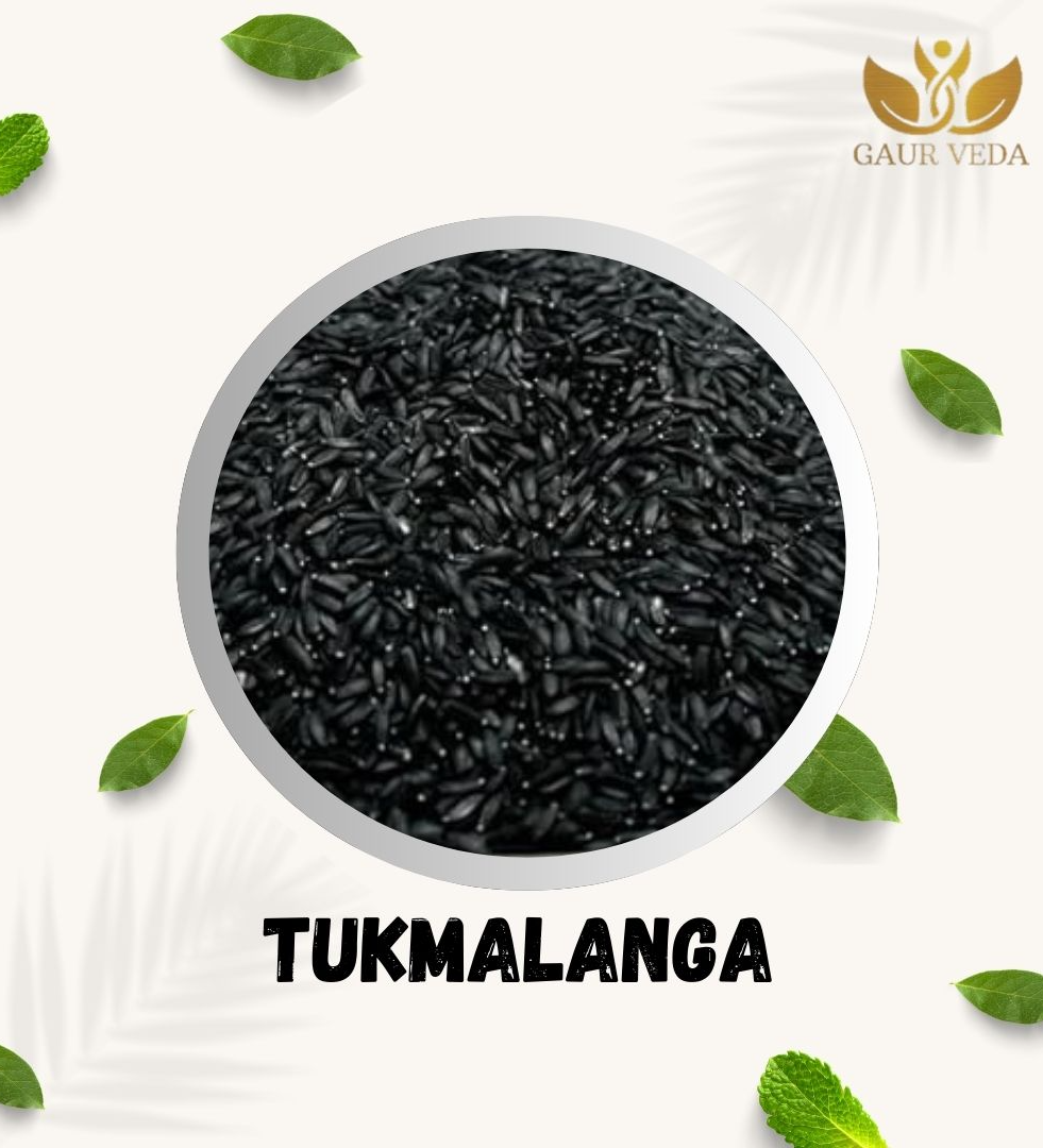 GAURVEDA Tukmalanga - Tukmalanga - Tukh Balanga - Natural (100 Grams)