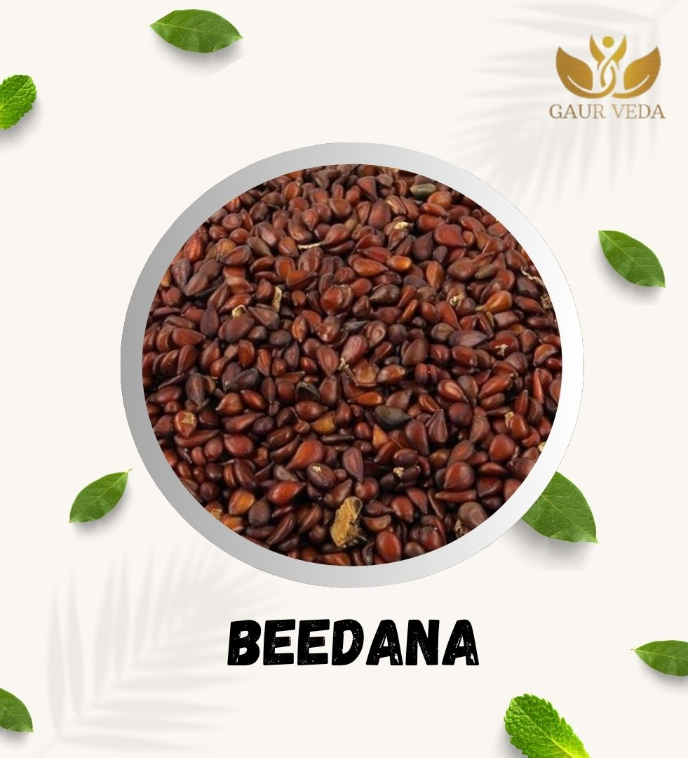 Gaurveda Beedana Raw- Bidana - Bahee Dana - Pyrus Cydonia - Quince Beej - Pure & Natural (25 Grams)