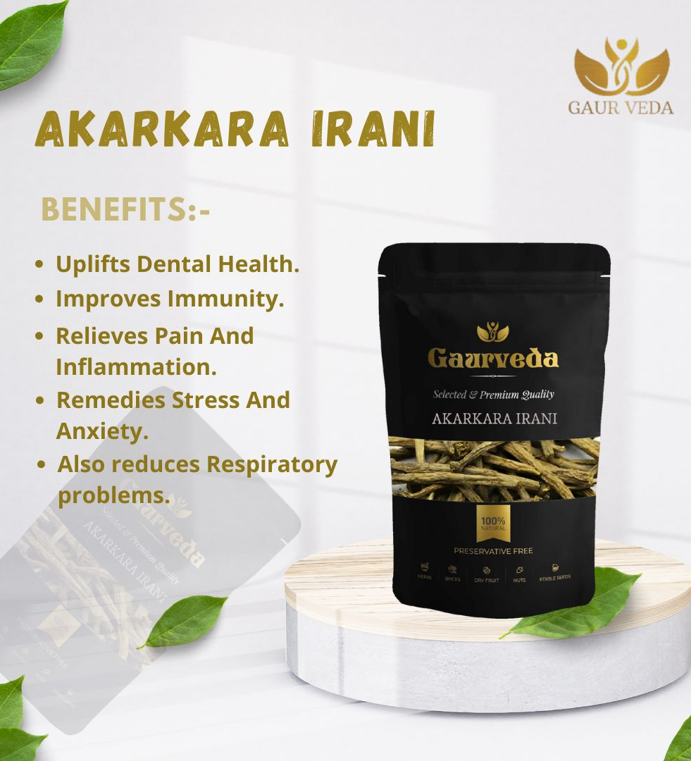 Gaurveda Akarkara Irani - Akarkara Asli - Anacyclus Pyrethrum - Pellitory Root - Selected Quality Raw Herb (25 Grams)