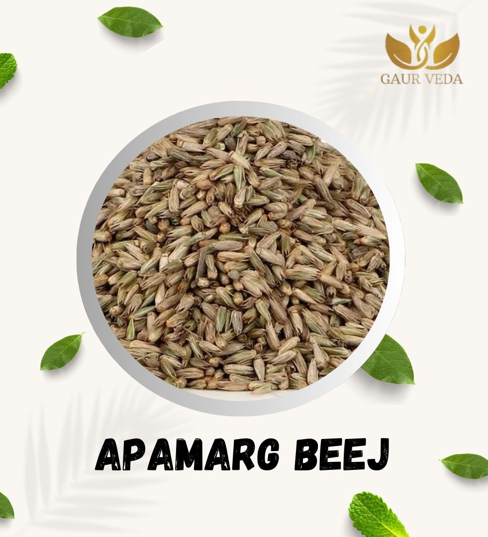Gaurveda Apamarg - Apoot Kanta - Uttareni Seeds - Latrija Beej Powder - Chirchita Beej, Pure & Natural (100 Grams)