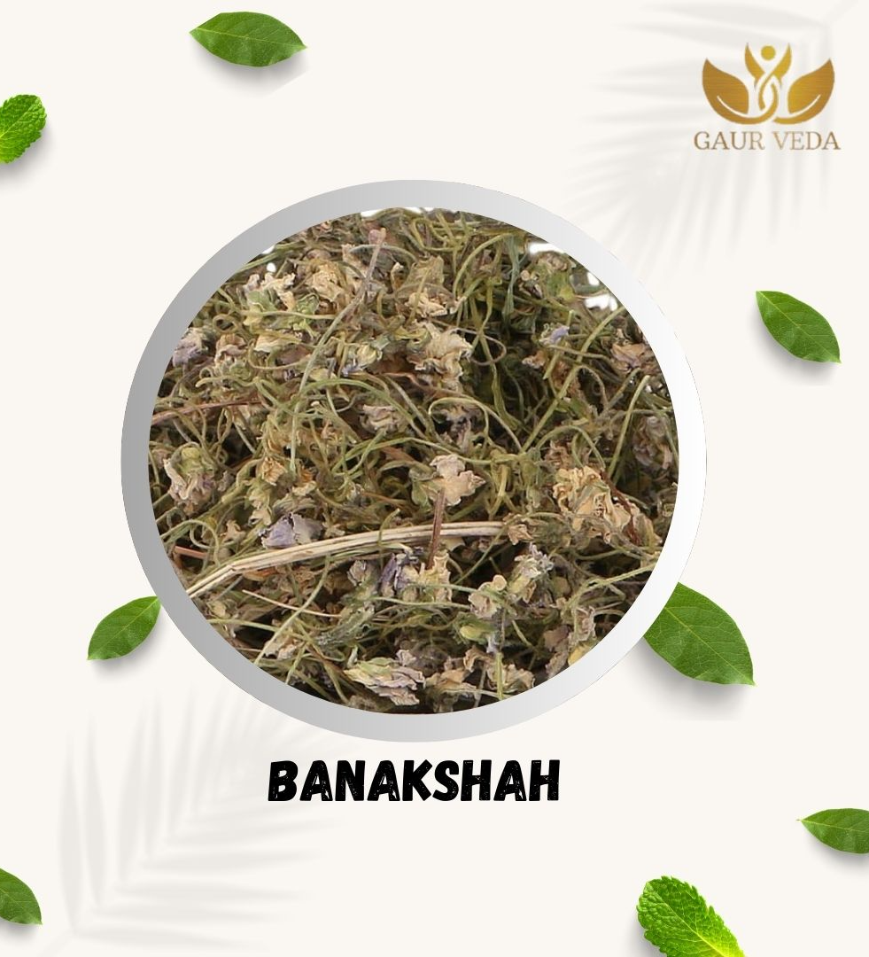 GAURVEDA Gulbanafsha Spl - Gul Banpsa - Viola Odorata - Sweet Violet (25 Grams )