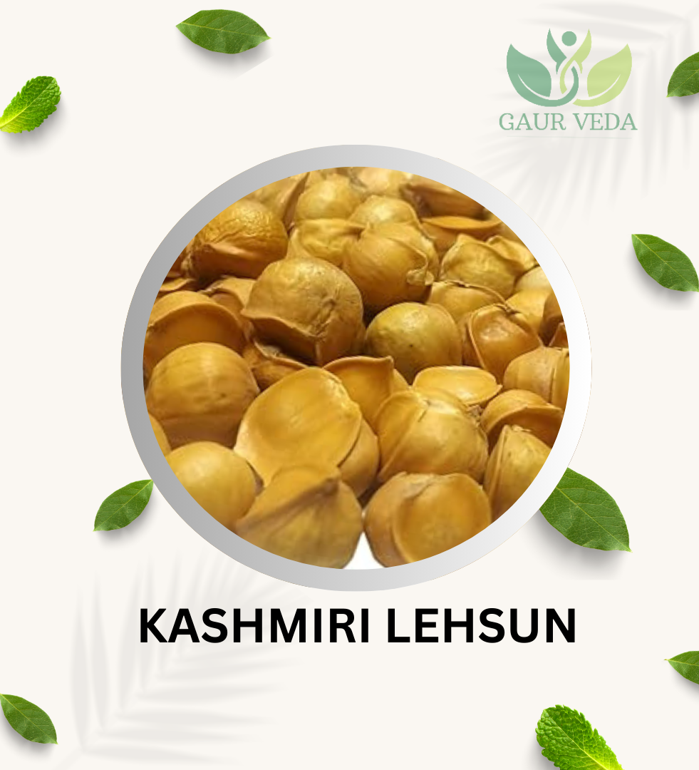 Gaurveda Kashmiri Lehsun, Snow Mountain Garlic Seed, Pahari Lehsun (100 Grams)