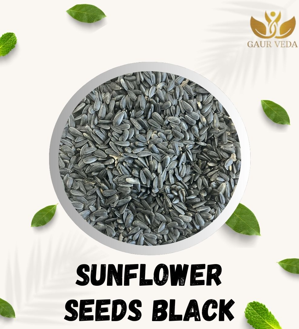 GAURVEDA Surajmukhi Beej Kala - Black Sunflower Seeds - Helianthus annuus - Natural (100 Grams)