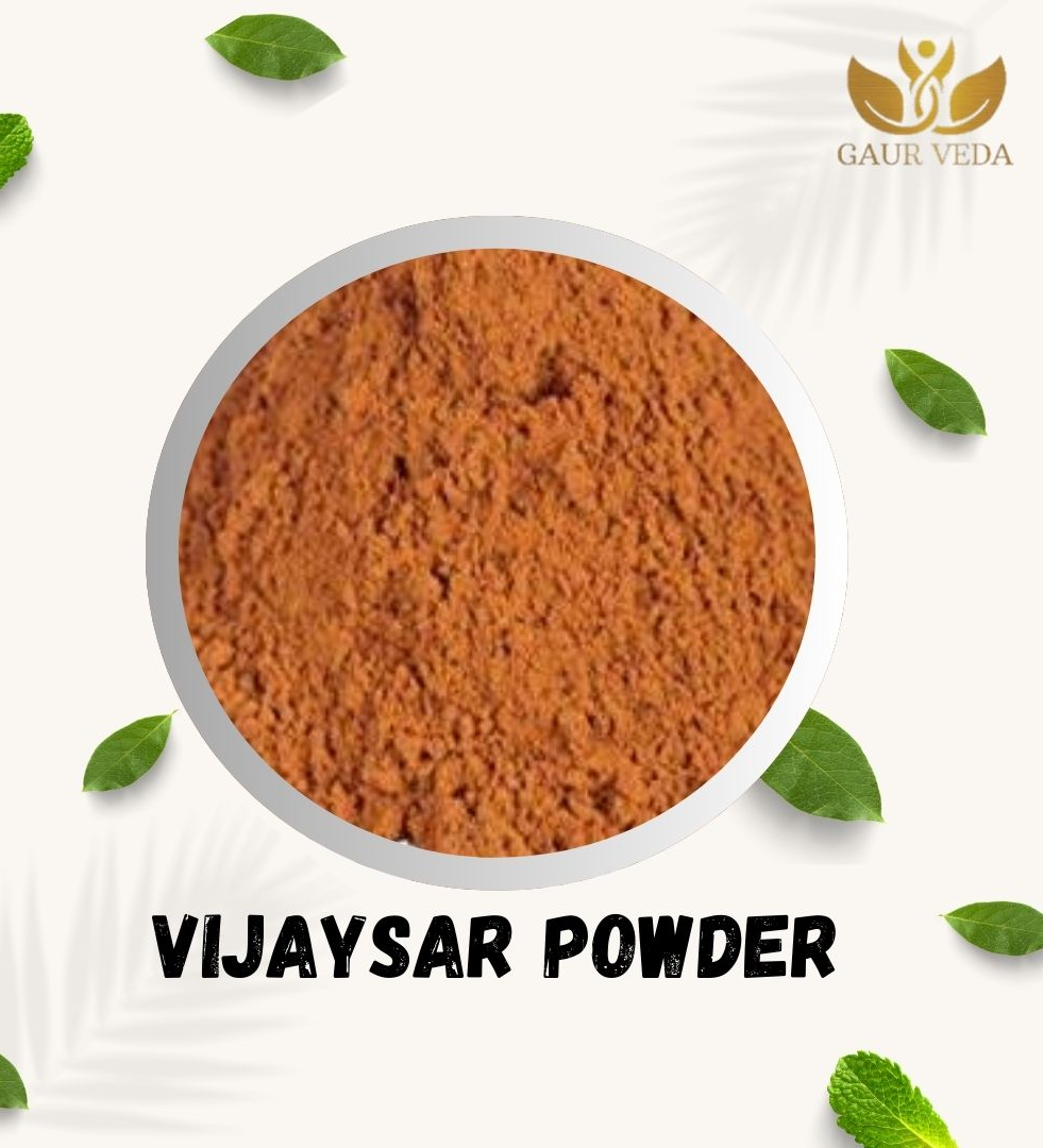 GAURVEDA Vijaysar Pdr (500 Gm) - Indian Kino Pdr - Pterocarpus Marsupium Pdr - Pure & Natural