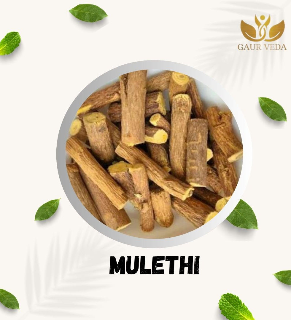 Gaurveda Mulethi Sticks for Eating - Yashtimadhu - Selected - Quality - Mulathi Spl - Jeshthamadha - Licorice Root - Glycyrrhiza Glabra ( 50 Grams )