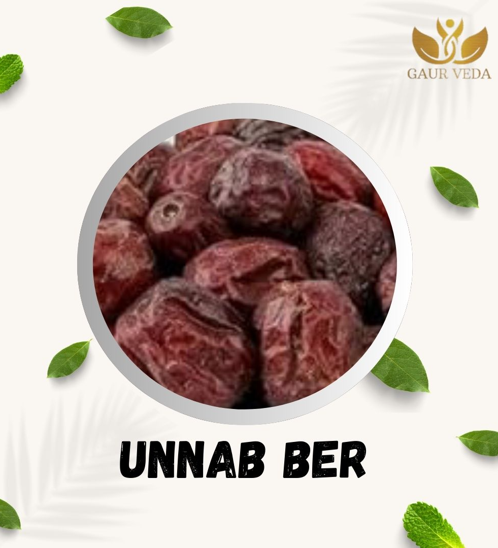 Gaurveda Unnab Ber Red Jujube, Zizyphus Sativa Gaetn (100 Grams)