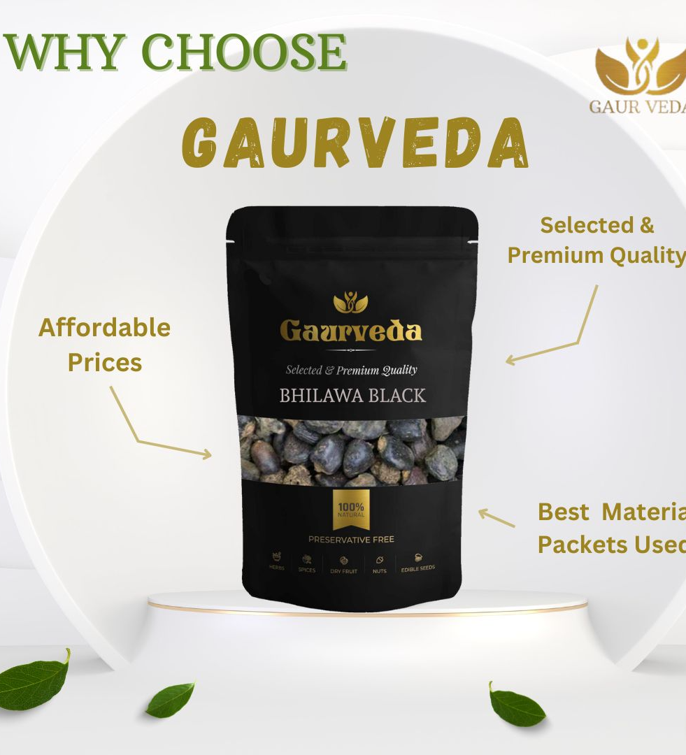 Gaurveda Bhilawa Seeds (Marking Nut) - Bilava Beej (100 Grams)