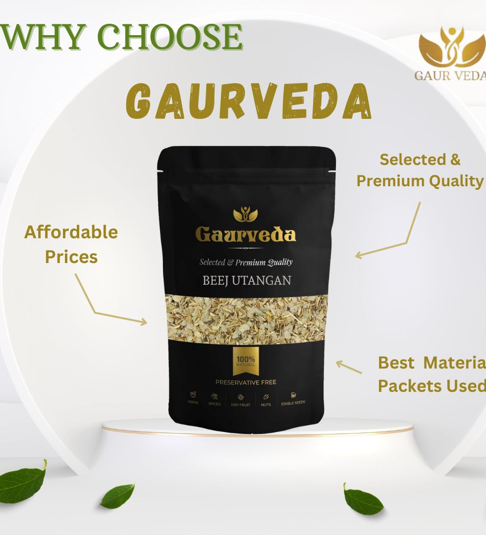 Gaurveda Utangan Beej - Beej Utangan - Blepharis Edulis Pers - Natural (50 Grams)