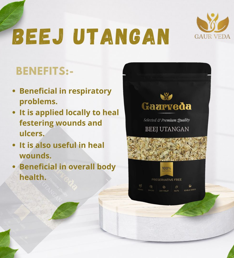 Gaurveda Utangan Beej - Beej Utangan - Blepharis Edulis Pers - Natural (50 Grams)