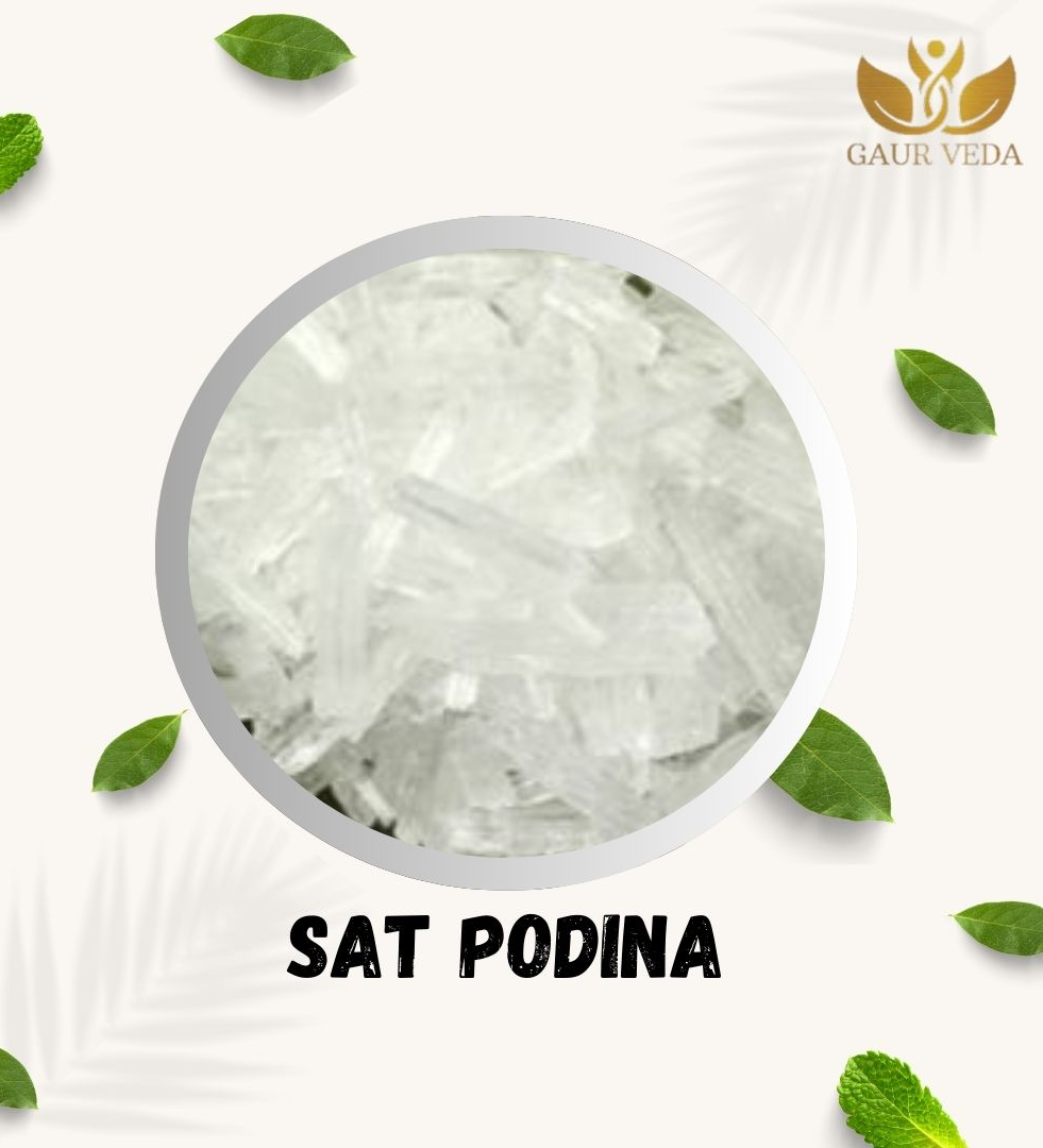 Gaurveda Sat Podina - Sat Pudina - Menthol - Peppermint - Clean - Quality (50 Grams)