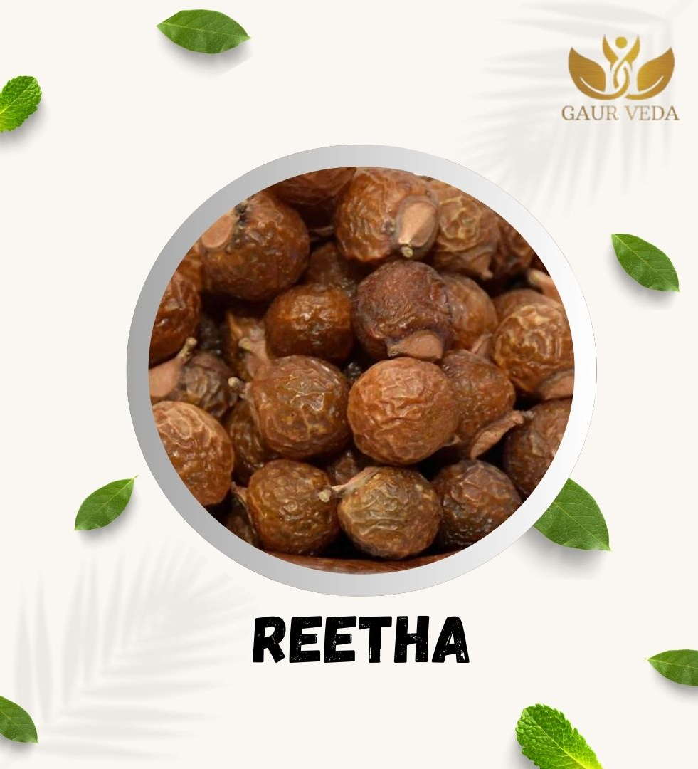 Gaurveda Reetha - Soapnut - Sapindus Mukorossi - For Hair Growth - For Silky & Smooth Hairs - A+ Quality (100 Grams)