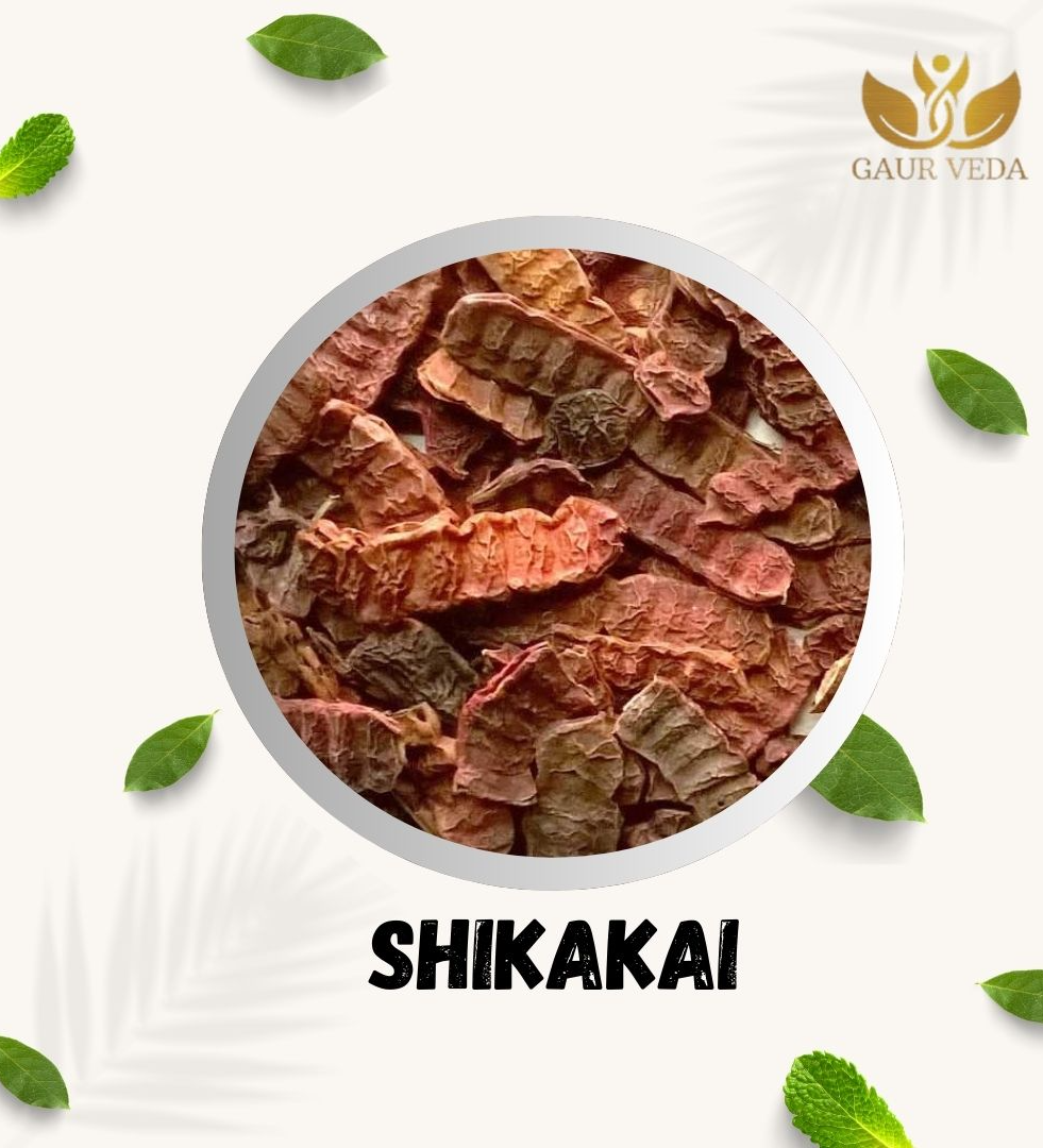 Gaurveda Shikakai - Soap Pod - Acacia Concinna . - Pure & Natural (100 Grams)