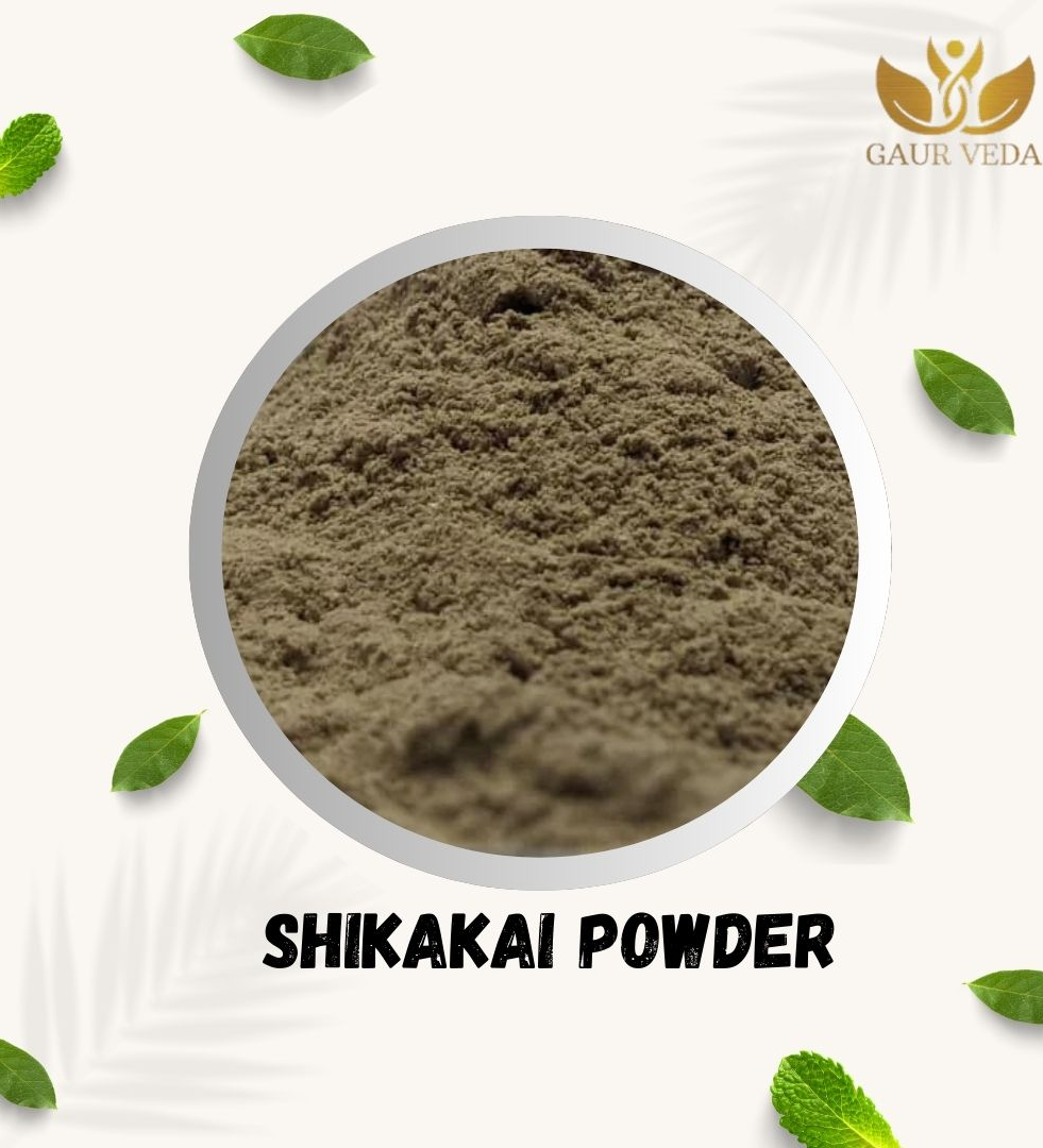 Gaurveda Shikakai Powder - Soap Pod Powder - Acacia Concinna Pdr. - Pure & Natural (100)