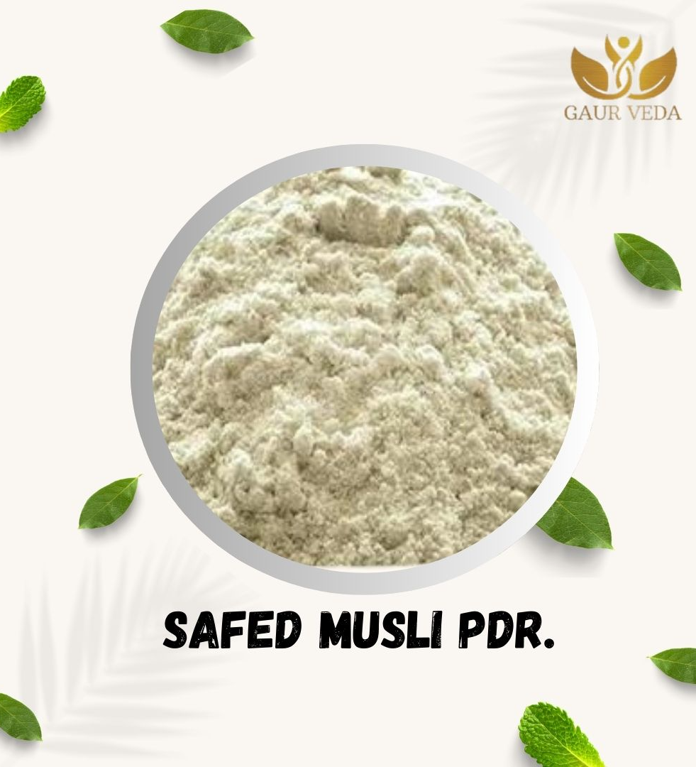 GAURVEDA Safed Musli Powder, White Musli Powder, Chlorophytum Borivilianum, Pure & Natural (50 Grams)