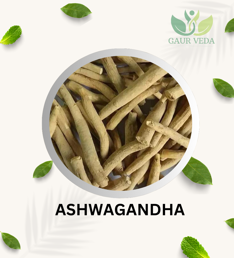 GAURVEDA Ashwagandha - Withania Somnifera - For Health & Wellness - Daily Needs - Pure & Natural (100 Grams)