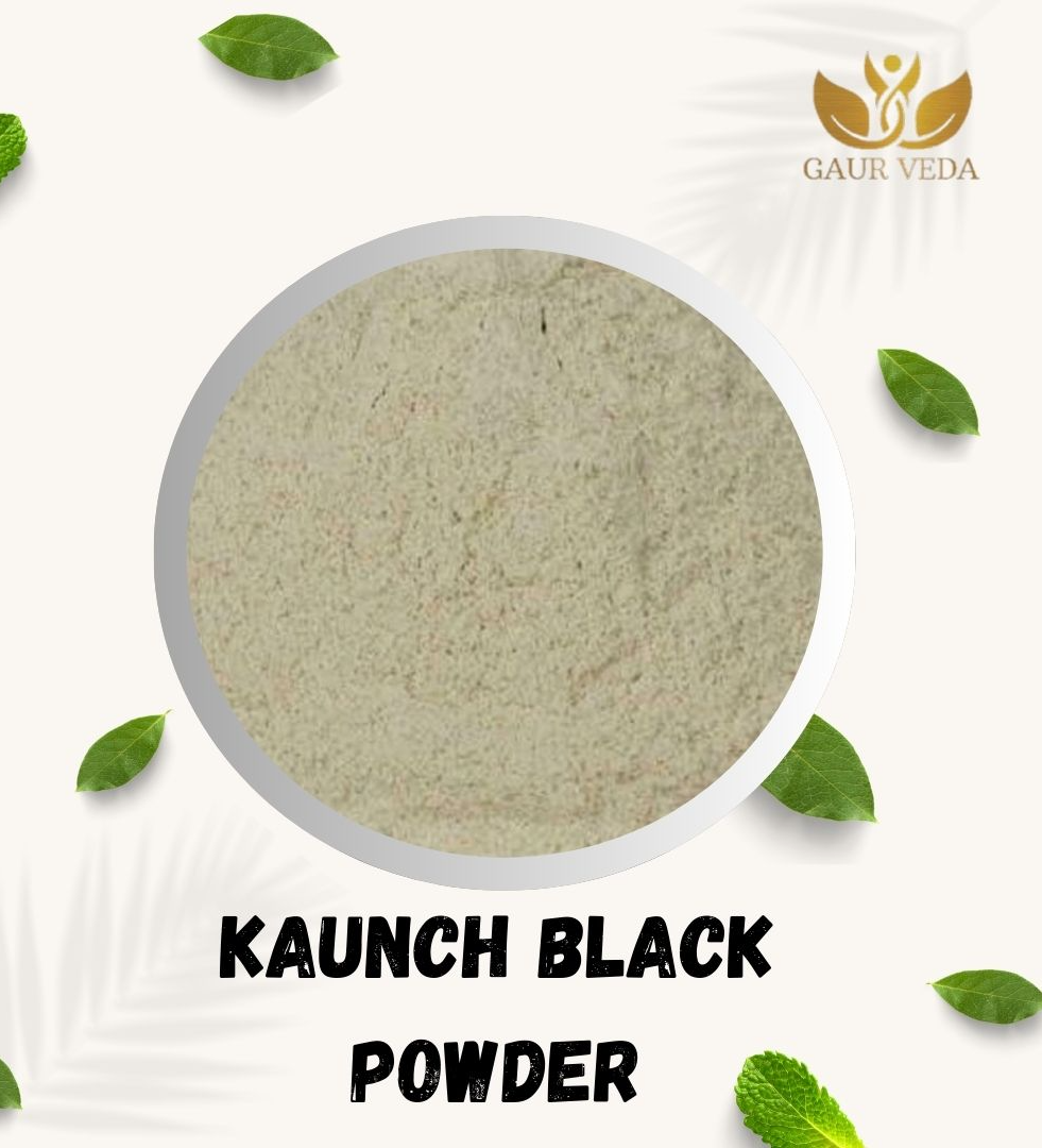 Gaurveda Kaunch Black Seeds Powder - Kaunch Beej Powder - Black Cowhage Pdr. - Mucuna Pruriens Pdr. - Kapikachchhu Pdr. - Pure & Natural (100 Grams)