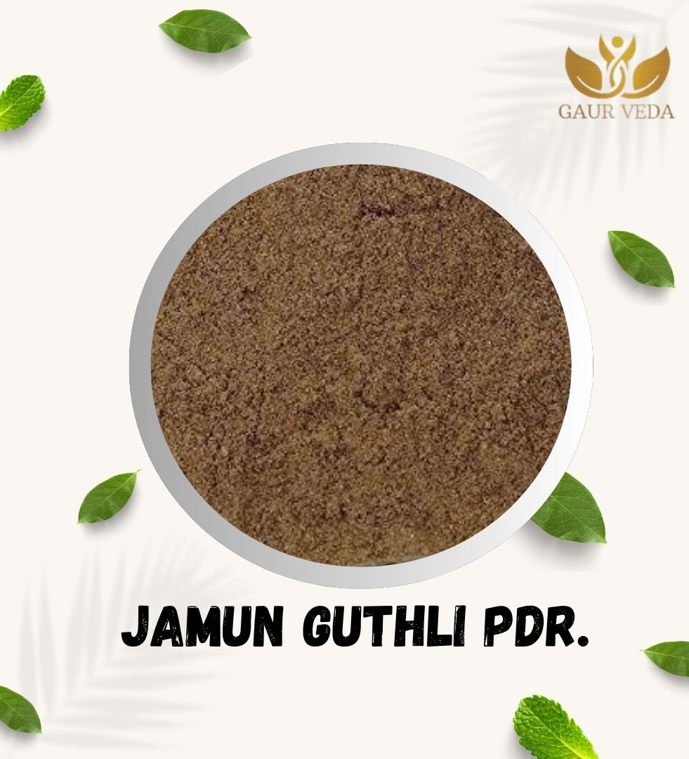 Gaurveda Jamun Guthli Powder - Jamun Seed Powder - Jamun Beej Powder - Jambu Beej Powder (100 Grams)