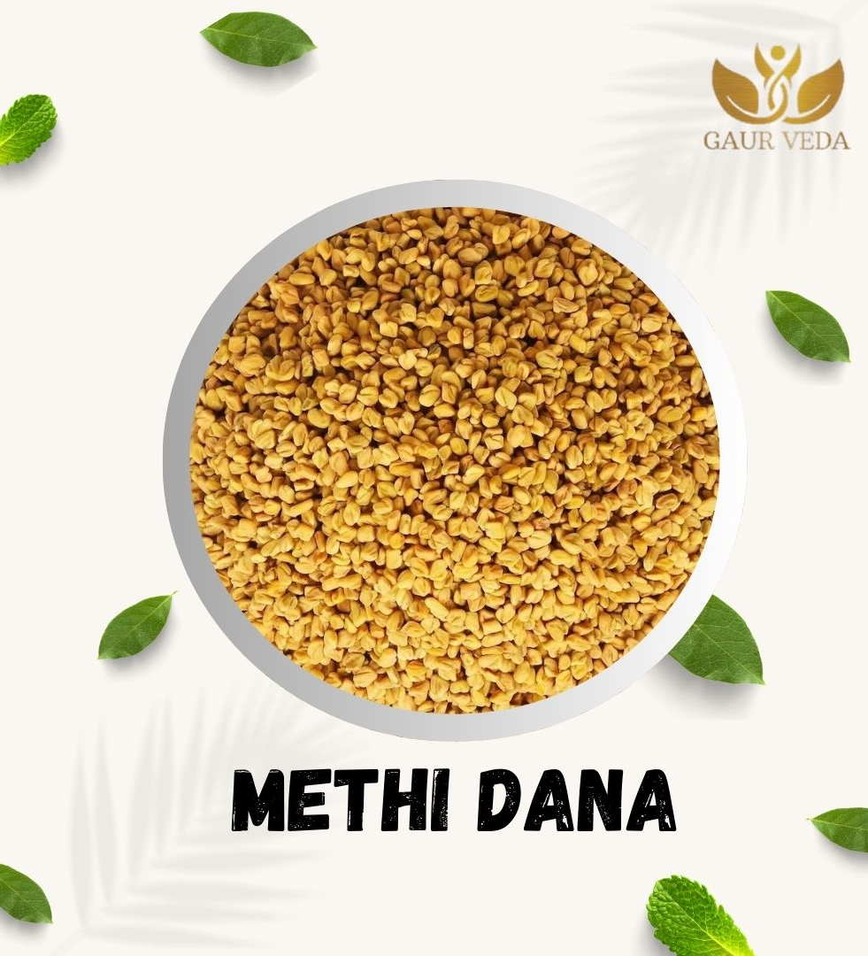 Gaurveda Methi Dana - Trigonella Foenum Graecum - Fenugreek Seeds - Pure & Natural (100 Grams)
